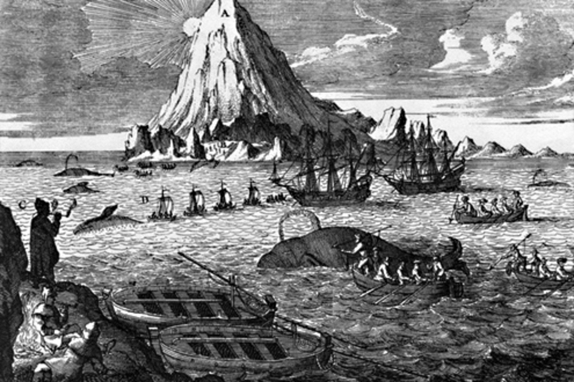 Walvisvaart